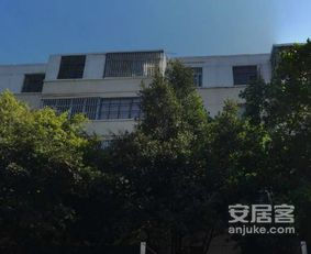 輕工機械廠宿舍小區照片