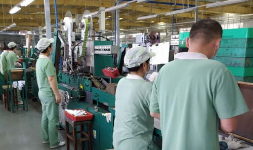 廣州輕工集團 以創新驅動高質量發展，譜寫輕工業新篇章